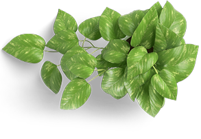 leaf-icon-1.png